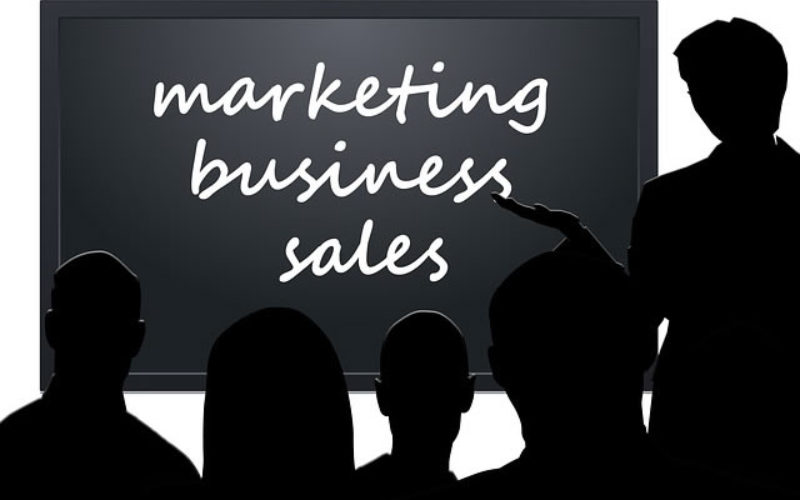 Non Business Majors Can Seek Business Immersion