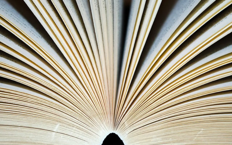 Entrepreneurs: What They Didn’t Teach You in Business School