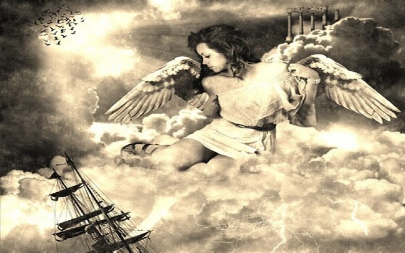 Business Law: Companies That Have Stood the Test of Time