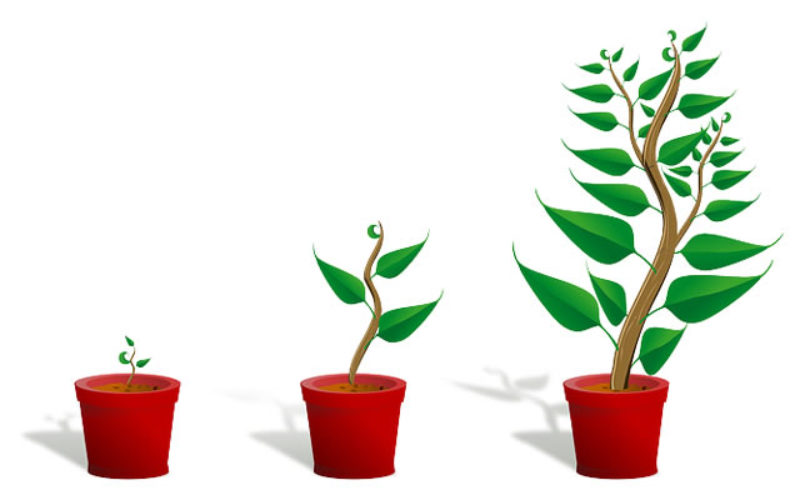 How Business Owners Can Grow Their Business