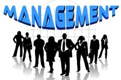 Top 5 Upper Management Positions (And How to Get Them)