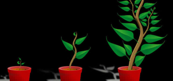 What Do You Need Before You Can Grow Your Business?