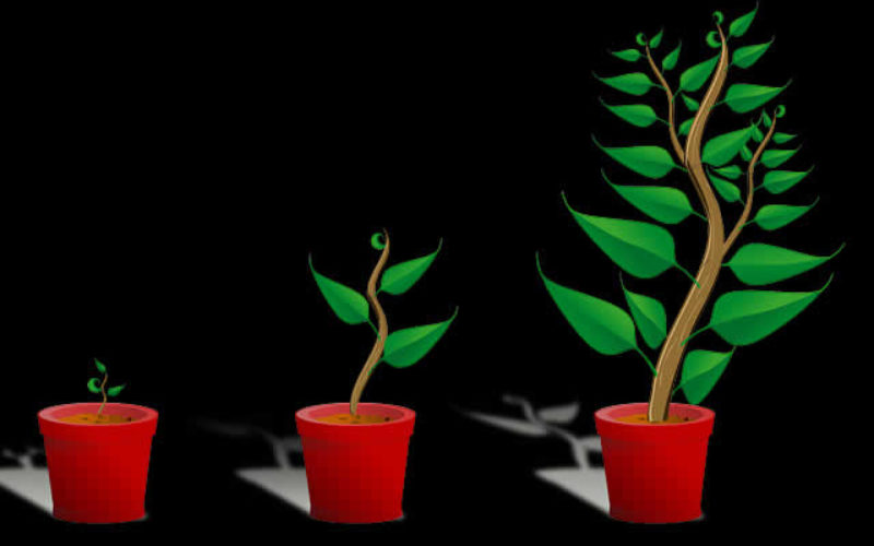 What Do You Need Before You Can Grow Your Business?