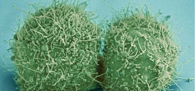 Protect Your Health At Work: Five Steps You Can Take Keep Illness Away In The Office