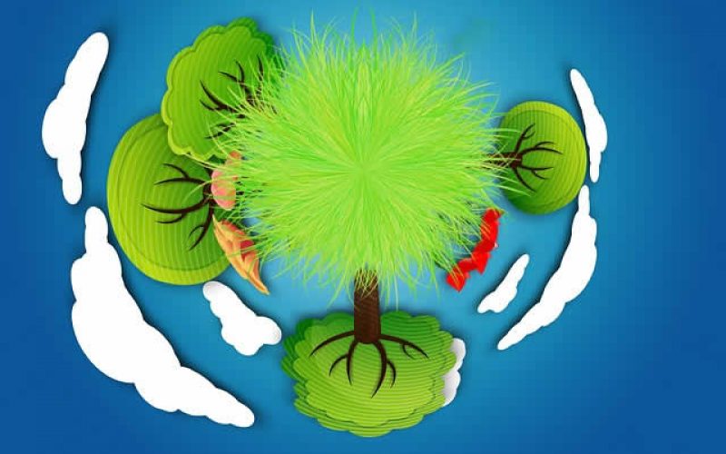 Five Green Industry Leaders Making Earth a Better Place