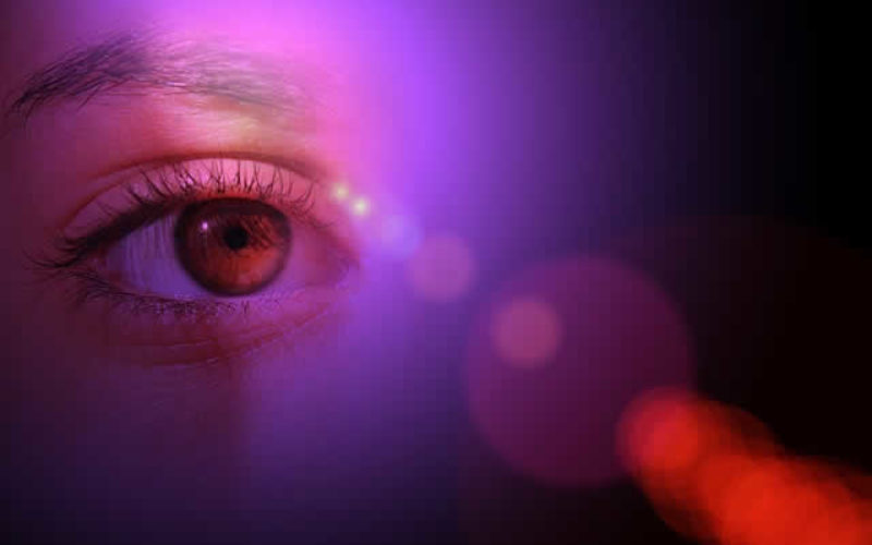 What to Do If Your Boss (or Stakeholder) Accuses You of a White Collar Crime