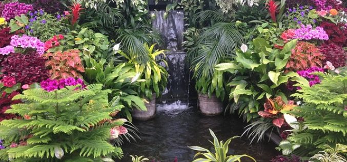 Landscaping Business: Tips for Startups