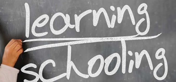 Non-Business Degree Courses that Entrepreneurs Can Benefit From