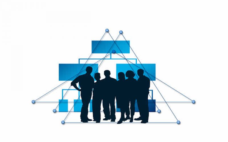 Building Your Enterprise for 2017: 4 Specialists Every New Company Needs