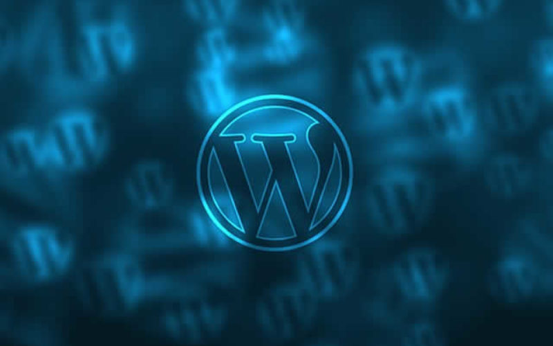 10 Must Have WordPress Plugins for Ecommerce Sites