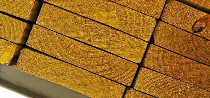 Flooring with Plywood Sheets – A Highly Creative Choice