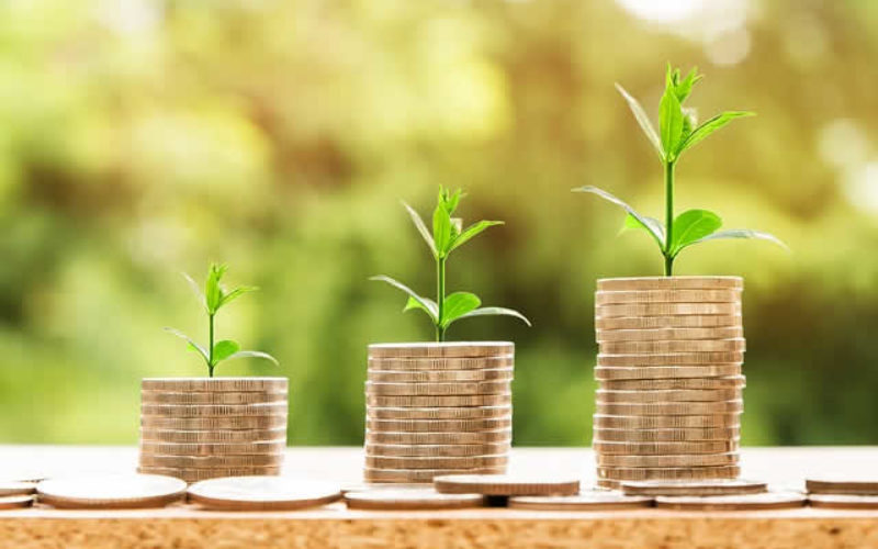 How to Calculate your Own Salary as a Business Owner