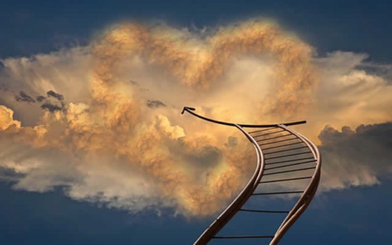 Examining the Highest Paid Business Careers