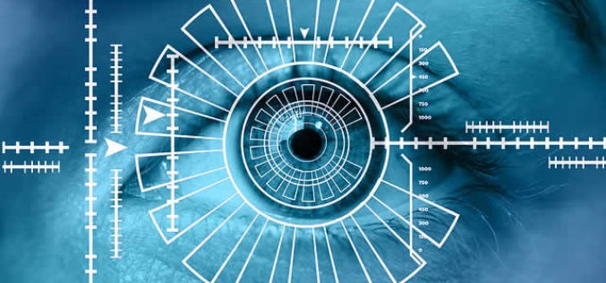 Safety First: How to Ensure That Your Employees Are Protected at Work