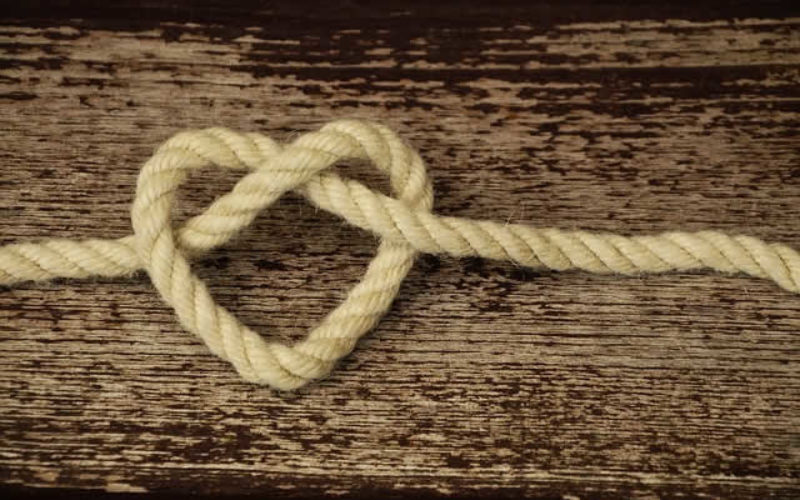 6 Little Known Benefits of Loyalty Programs for Businesses