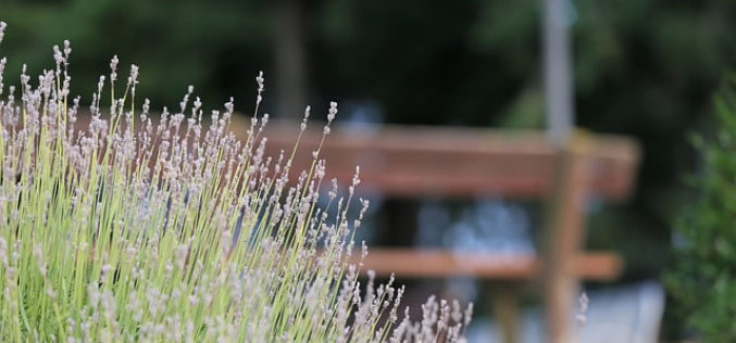 4 Ways to Give Your Business Exterior a Natural Look