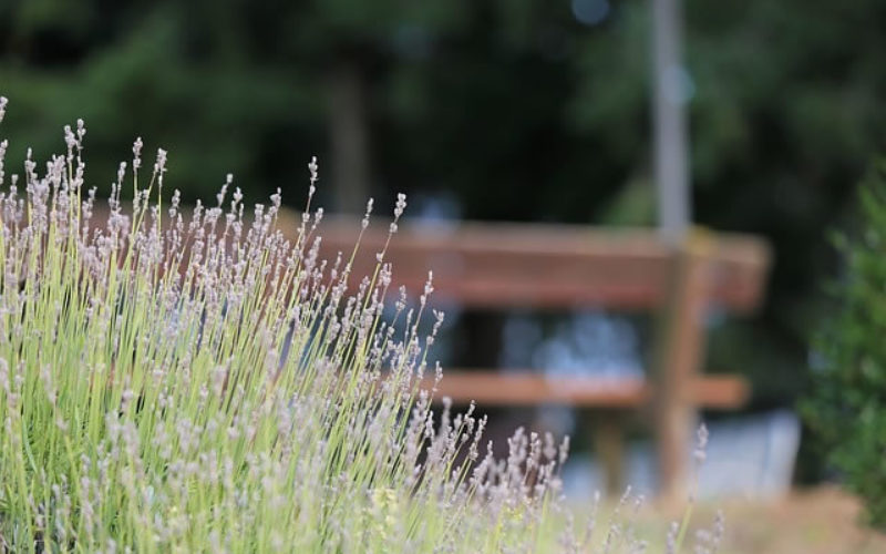 4 Ways to Give Your Business Exterior a Natural Look