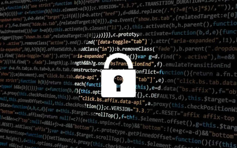 What are the Different Security Options for Businesses?