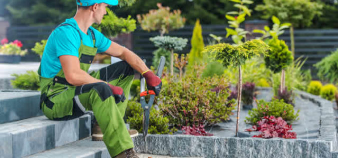 Landscaping Ideas for Your Business
