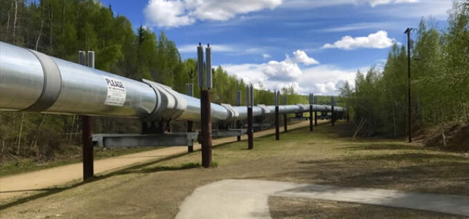 Invaluable Tools: What Pipe Expansion Joints Are Used For