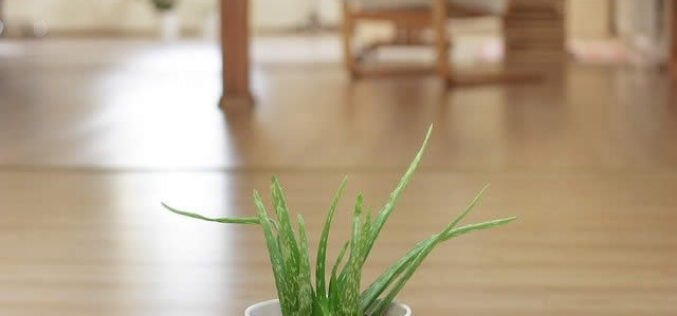 Tips for Starting Your Own Medical Practice