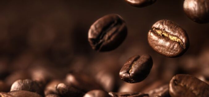 Top Tips for Starting Your Own Coffee Brand