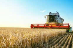How To Protect Your Farming Equipment From Rust