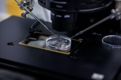 The Basics of Micromanipulators and Their Role in Research