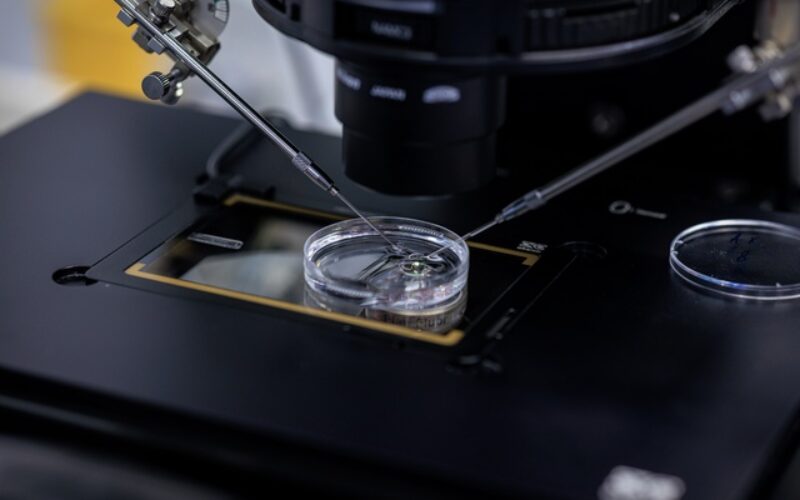 The Basics of Micromanipulators and Their Role in Research