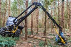 Equipment Making the Forestry Industry More Efficient