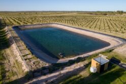 How Wineries Use Pond Liners To Manage Irrigation Water