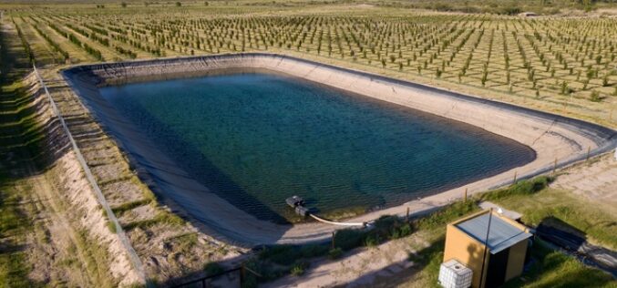 How Wineries Use Pond Liners To Manage Irrigation Water