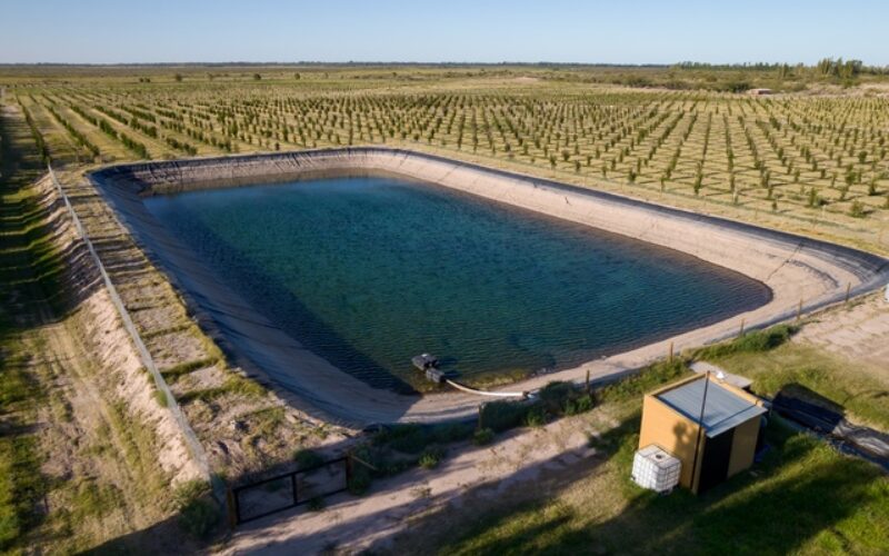 How Wineries Use Pond Liners To Manage Irrigation Water