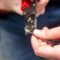 Crimp Quality: 4 Factors for Crimping Success