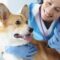 Packaging Tips for Veterinary Pharmacies