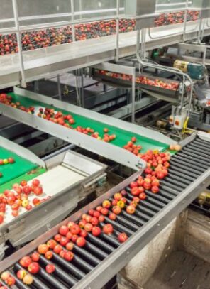 How Automation Improves Food Quality and Consistency