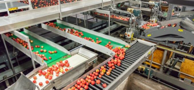 How Automation Improves Food Quality and Consistency
