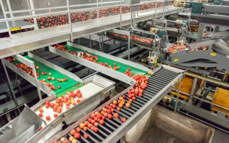 How Automation Improves Food Quality and Consistency