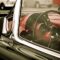 How Specialty Auto Businesses Build Customer Loyalty