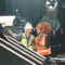 How Material Selection Impacts Industrial Equipment